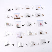 Rainbow Bloom Seed Set